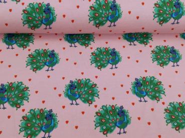 Preview: Baumwolljersey Penny Pfau hellrosa